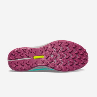 Saucony Peregrine 12 Dam