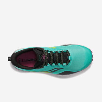 Saucony Peregrine 12 Dam