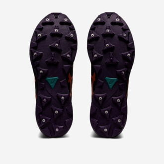 Asics Gel-Fujisetsu 3 GTX Dam