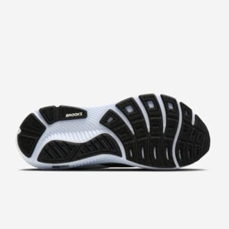 Brooks Ghost 18 Dam