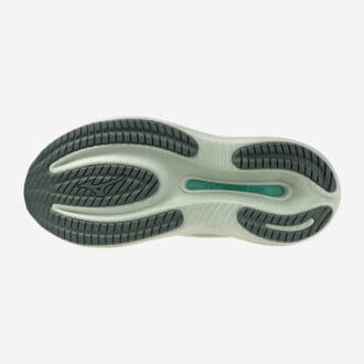 Mizuno Wave Rider 30 Dam