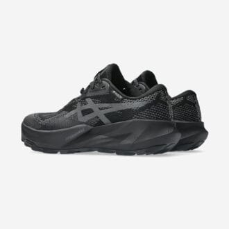 Asics Gel-Trabuco 14 GORE-TEX Dam