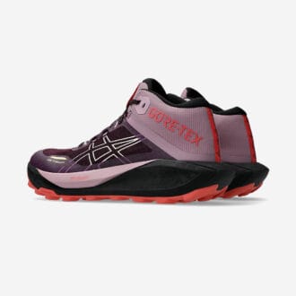 Asics Gel-Trabuco MT GORE-TEX Dam