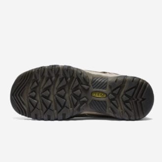 Keen Targhee IV WP Dam
